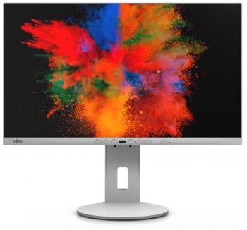 FUJITSU 24" B2410 TE MARBLE GREY (FHD/16:9/HAS/PIVOT/DP/HDMI/DVI/VGA/4XUSB)