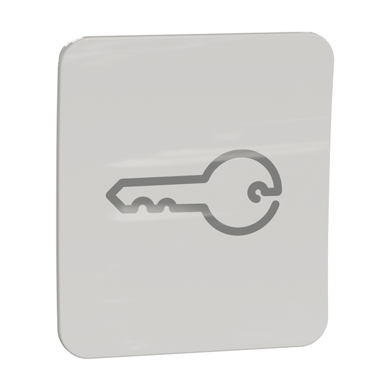 SCHNEIDER ELECTRIC EXXACT PINTA VIPU AVAINSYMBOLILLA