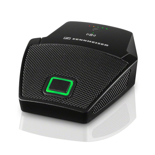 SENNHEISER SL BOUNDARY 114-S DW-3 B