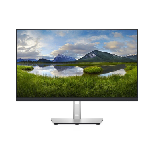 DELL 24 P2422H FHD IPS 16:9 PIVOT
