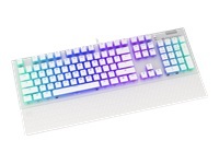 ENDORFY Keyboard Omnis OWH P. Kailh BR