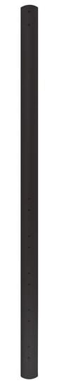 NEOMOUNTS BY NEWSTAR 200 CM EXTENSION POLE FOR FPMA-C200BLACK/C400BLACK/PLASMA-C100BLACK - BLACK